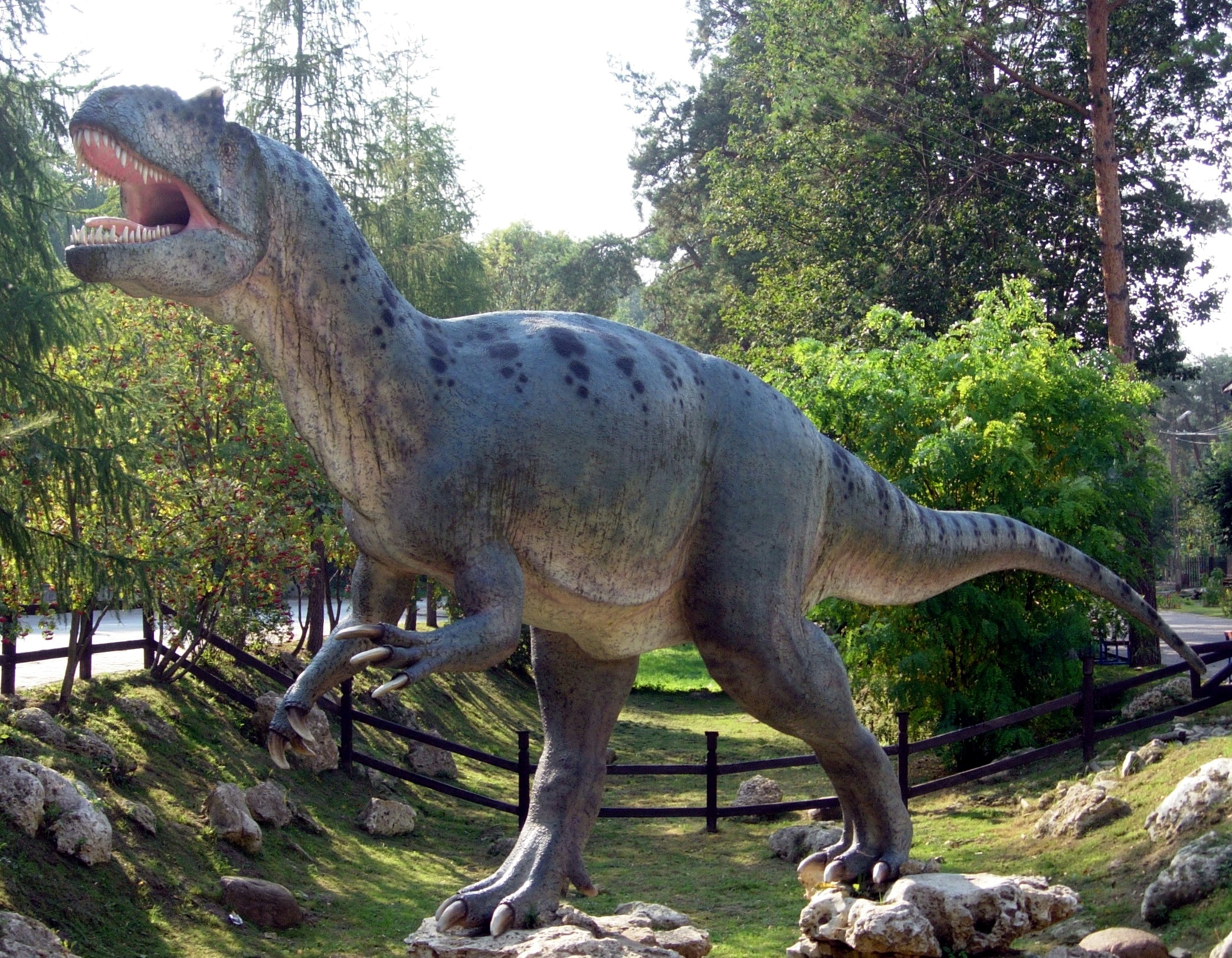 Why Allosaurus Ruled the Jurassic (Image Credits: Wikimedia)