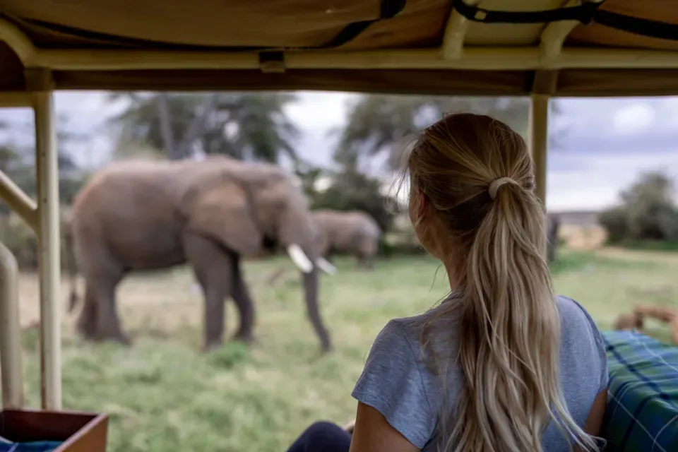 You Love Animals, but You’re Equally Fascinated by Ecosystems (Image Credits: Stocksnap)