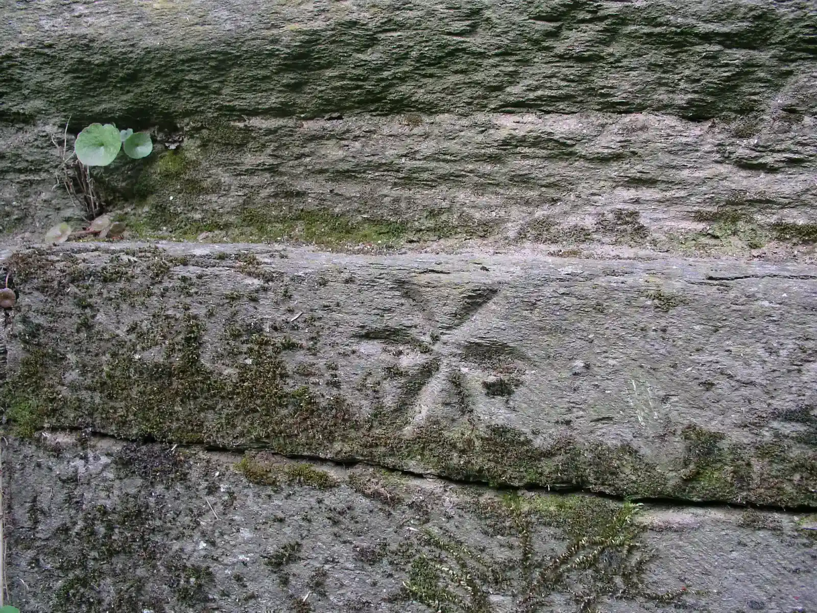 #5 - Mason's Marks Carved for Payment, Not Decoration (By Xauxa (Håkan Svensson), CC BY-SA 3.0)