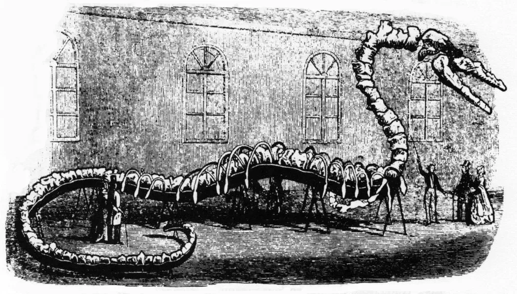 #18 - "Hydrarchos" Was a Sea Serpent Made From Multiple Whale Skeletons (Public domain)