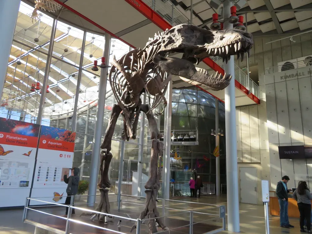 New Mexico Fossils Reveal Regional Diversity Before Extinction (Image Credits: Flickr)