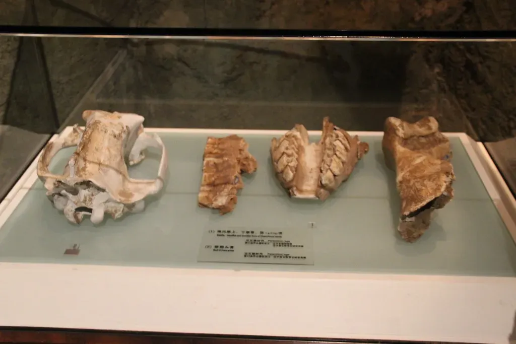 Conclusion: The Province That Forced Us to See Dinosaurs - and Science - Differently (Image Credits: Flickr)