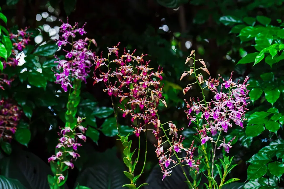 Flowering Plants Take Center Stage (Image Credits: Unsplash)