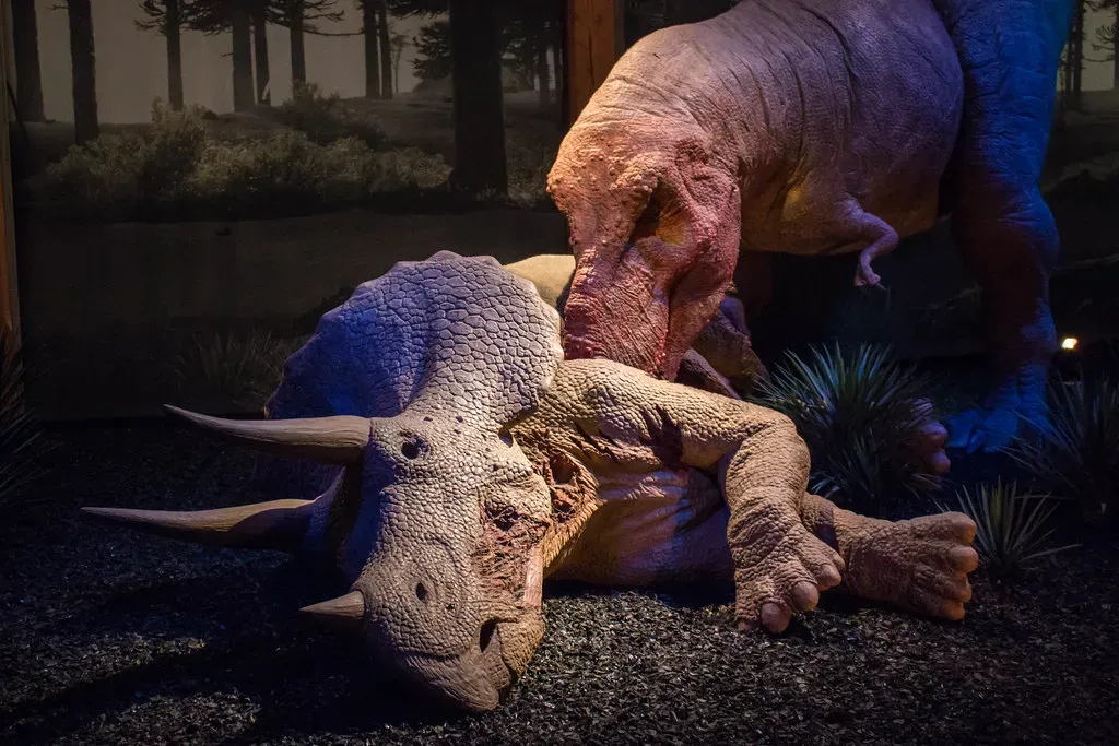 The Pack Feeding Hypothesis Turns Everything Upside Down (Image Credits: Flickr)