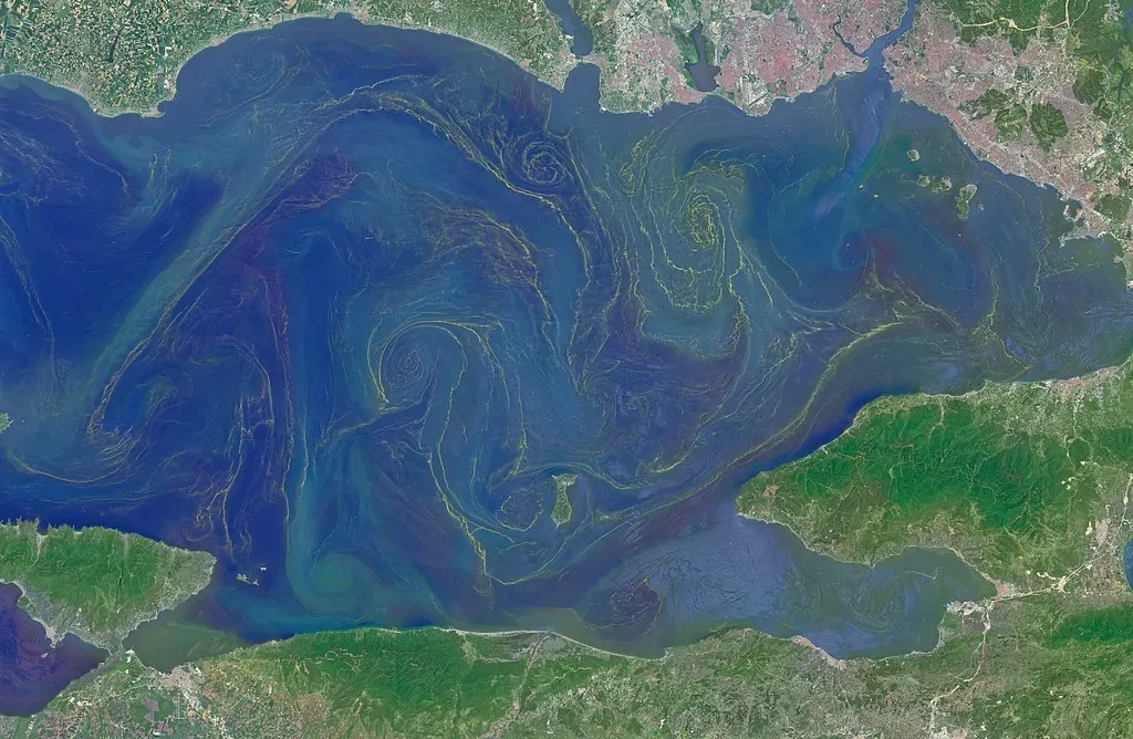 Life’s Surprising Influence: Plants, Oceans, and Tiny Creatures (NASA Goddard Photo and Video, Flickr, CC BY 2.0)