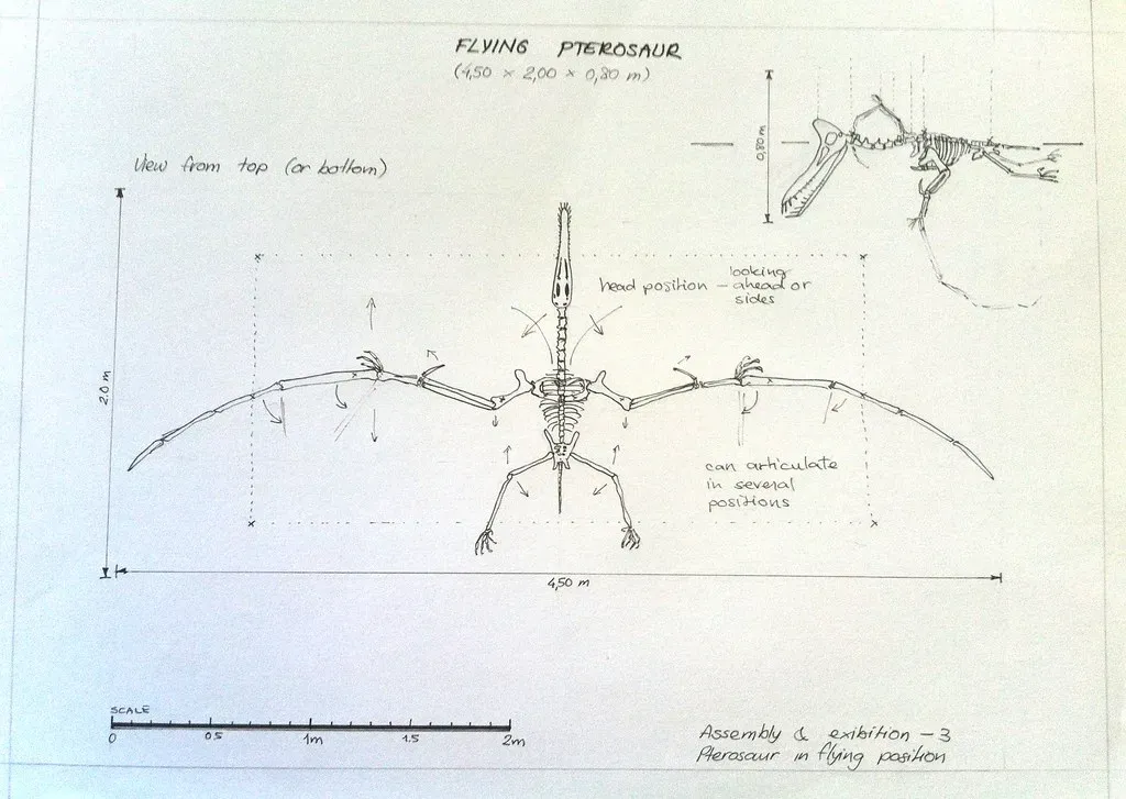 What the Latest Research Is Still Revealing in 2026 (Helder da Rocha, Flickr, CC BY-SA 2.0)