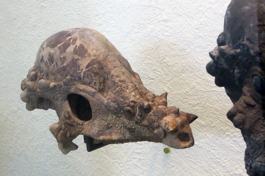 Zavacephale rinpoche: The Perfect Dome That Rewrote Timelines (Image Credits: Flickr)