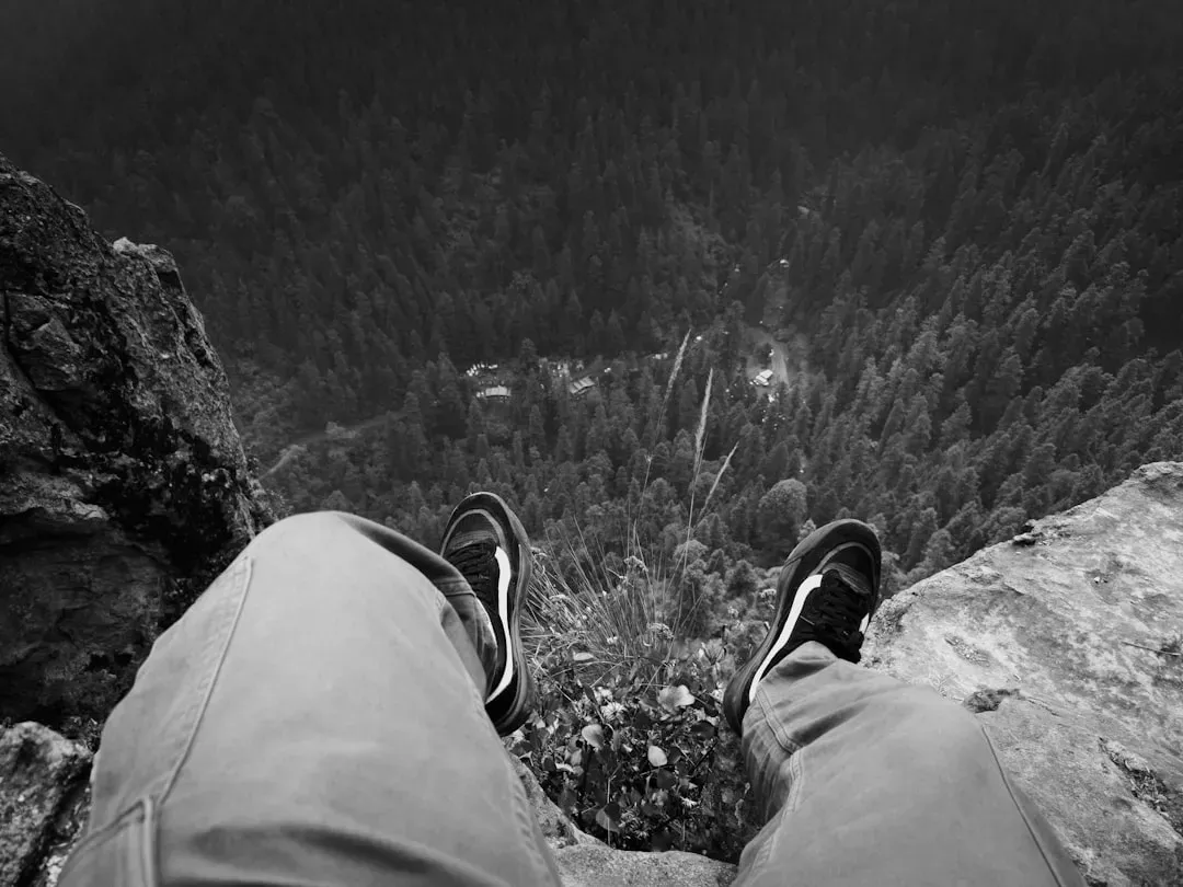 Your Amygdala Sees the Drop Before “You” Do (Image Credits: Unsplash)