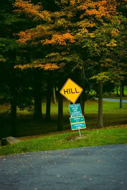 #8 - Gravity Hill, Pennsylvania (Image Credits: Pexels)
