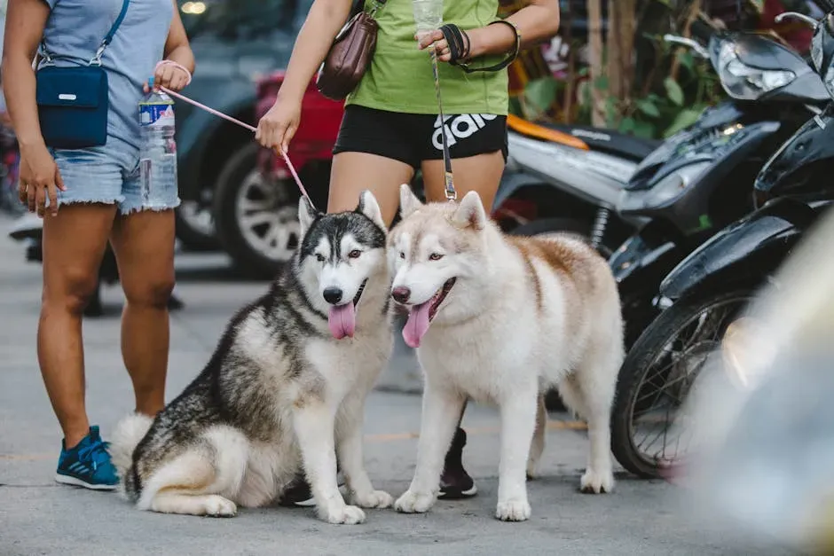 Conclusion: The Right City Can Change Everything for You and Your Dog (Image Credits: Pexels)
