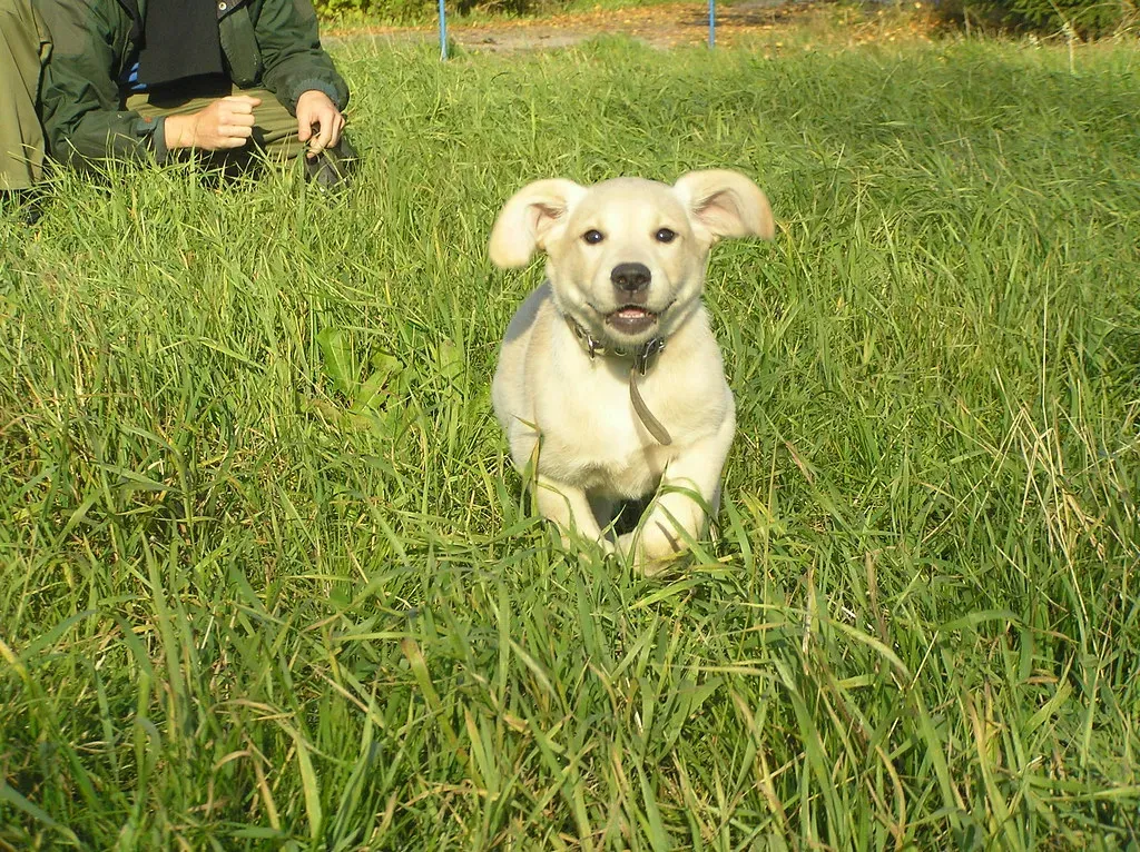 Conclusion: Building Trust Takes Time, Breaking It Takes Seconds (Image Credits: Flickr)