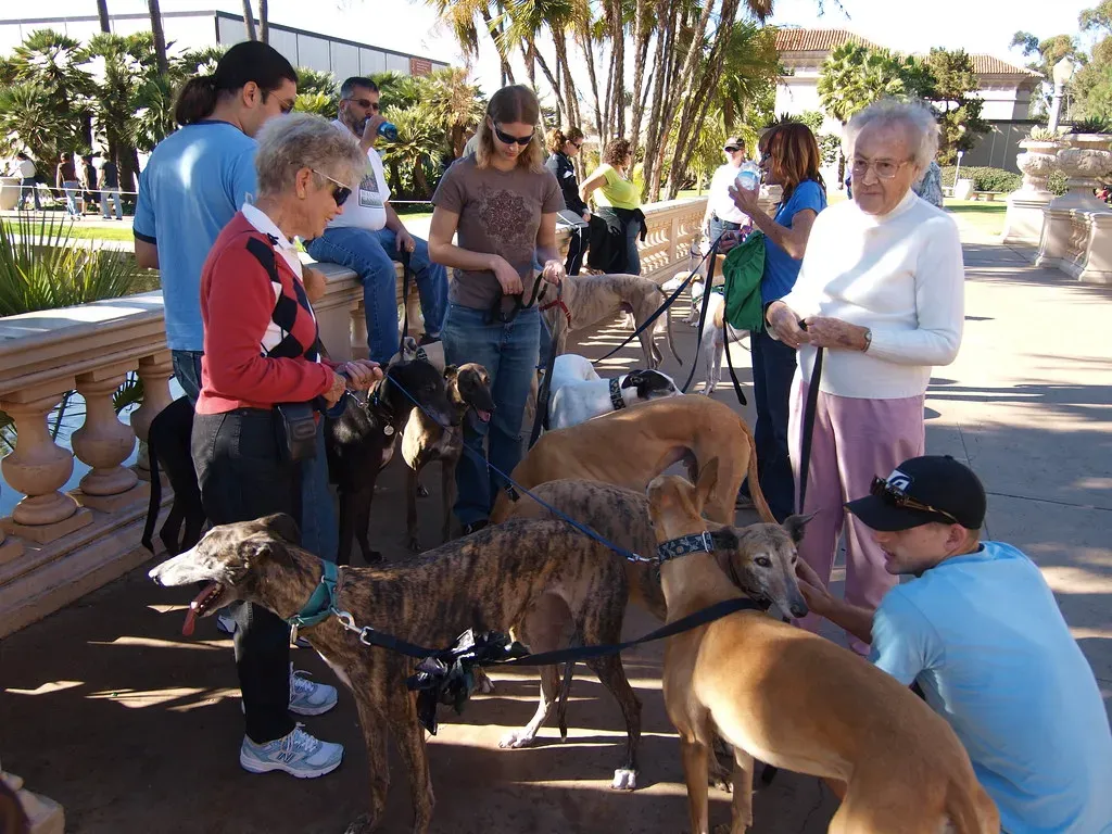 The Role of Socialization in Preventing Protective Behavior (mliu92, Flickr, CC BY-SA 2.0)