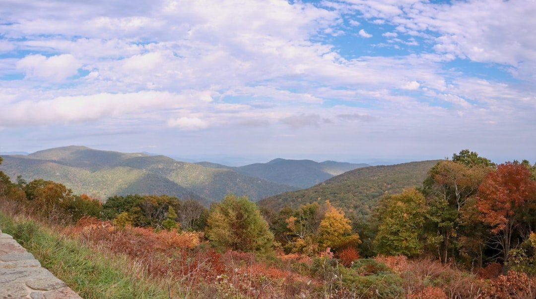 Shenandoah National Park Instead of Great Smoky Mountains National Park (Image Credits: Unsplash)