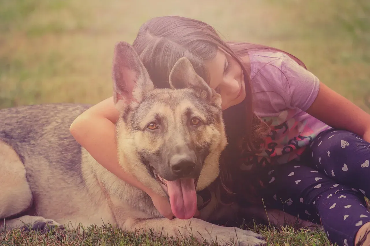 German Shepherd: The Versatile Family Protector (Image Credits: Pixabay)