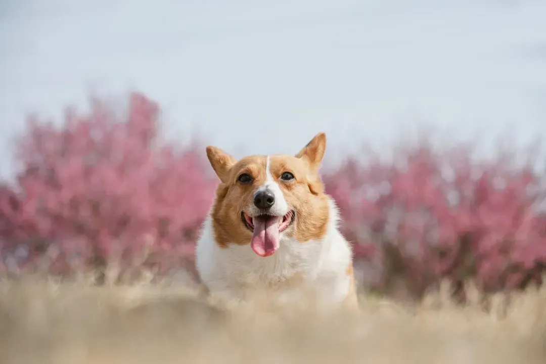 Metabolism Makes All the Difference (Image Credits: Unsplash)