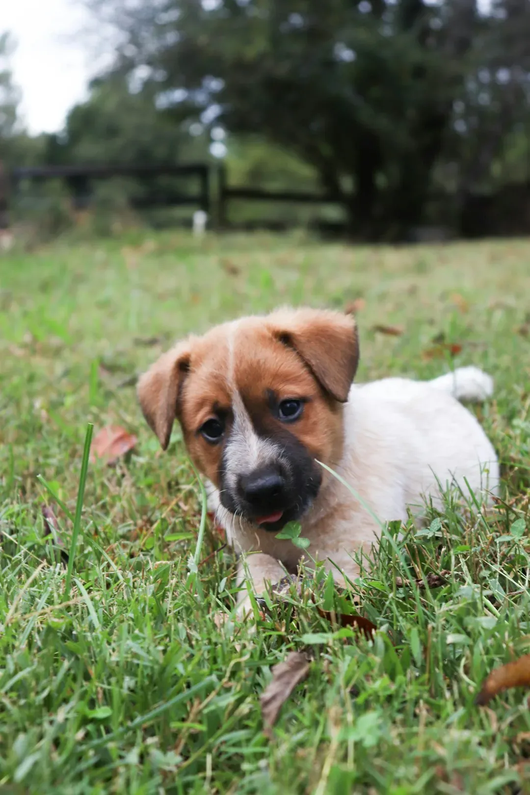 Boredom, Anxiety, and Attention-Seeking (Image Credits: Unsplash)