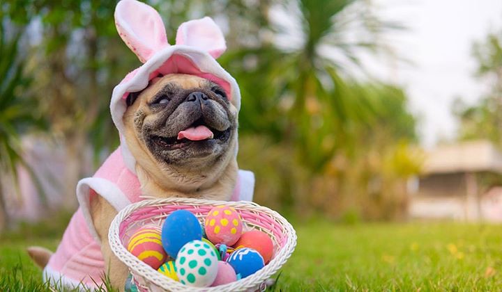 Conclusion (Image Credits: Flickr)