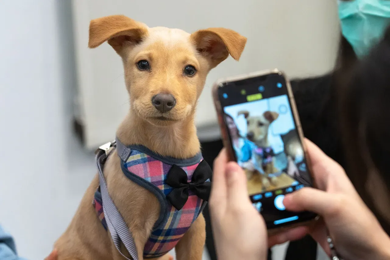 It Costs Less Than You Think (Image Credits: Pixabay)