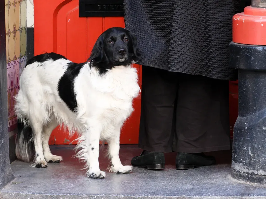 Monitoring Comings and Goings (Image Credits: Flickr)