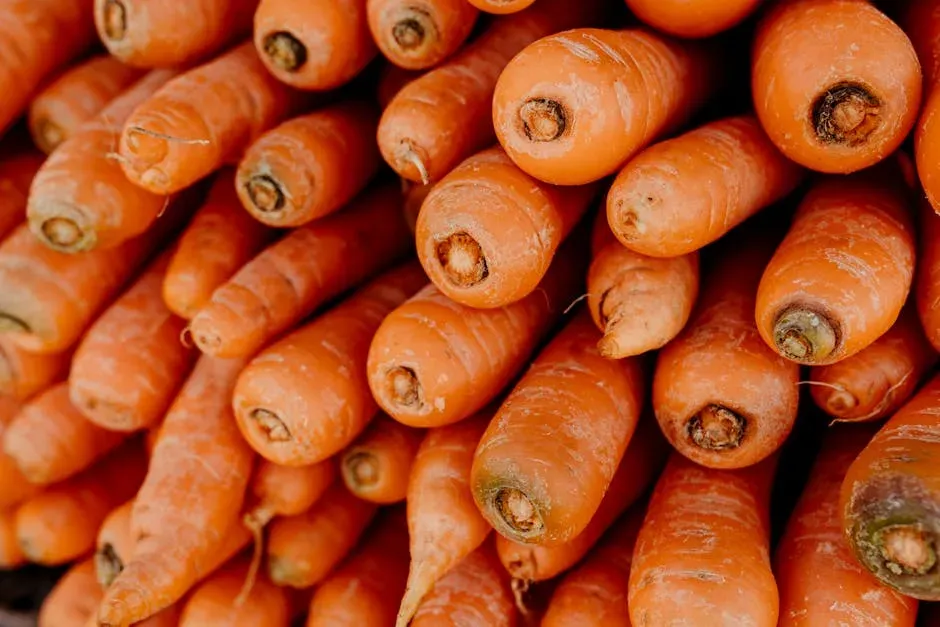 The Impressive Nutritional Profile of Carrots (Image Credits: Pexels)
