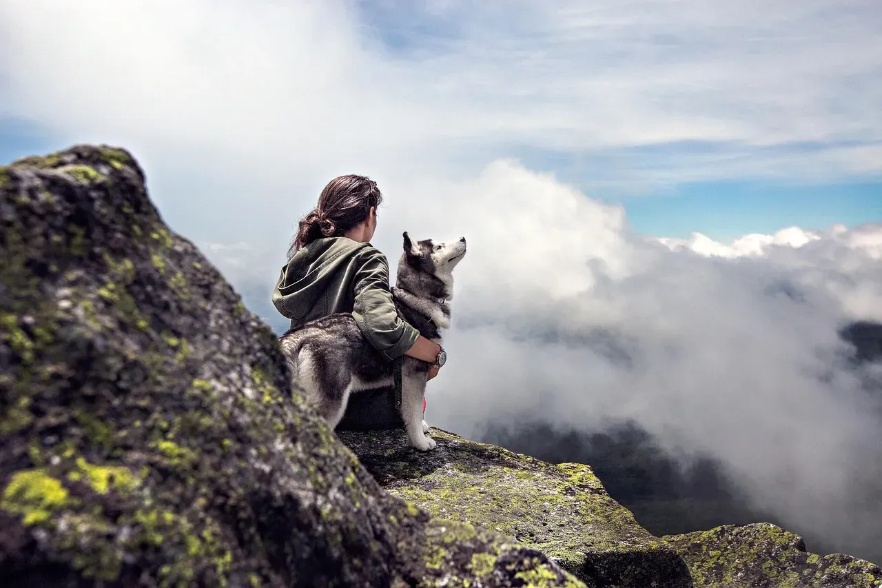 Spontaneous Dogs: The Adventure Enthusiasts (Image Credits: Pixabay)