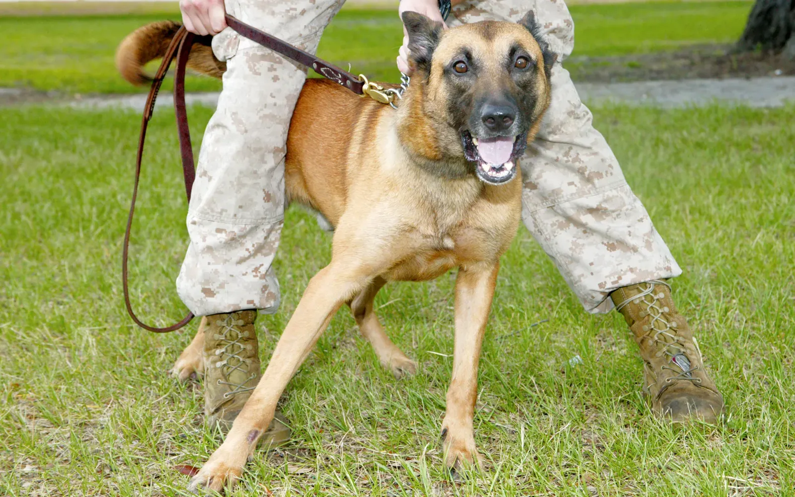 Your Neighbors Will Definitely Complain (Image Credits: Wikimedia)