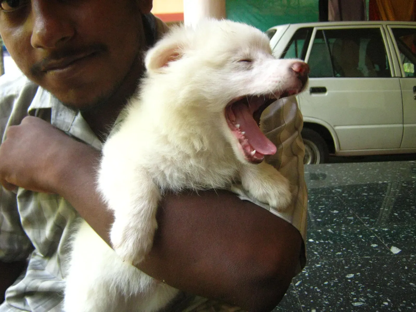 Conclusion (Image Credits: Wikimedia)