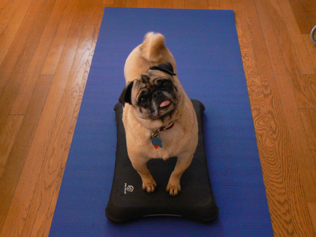 They're Not Actually 