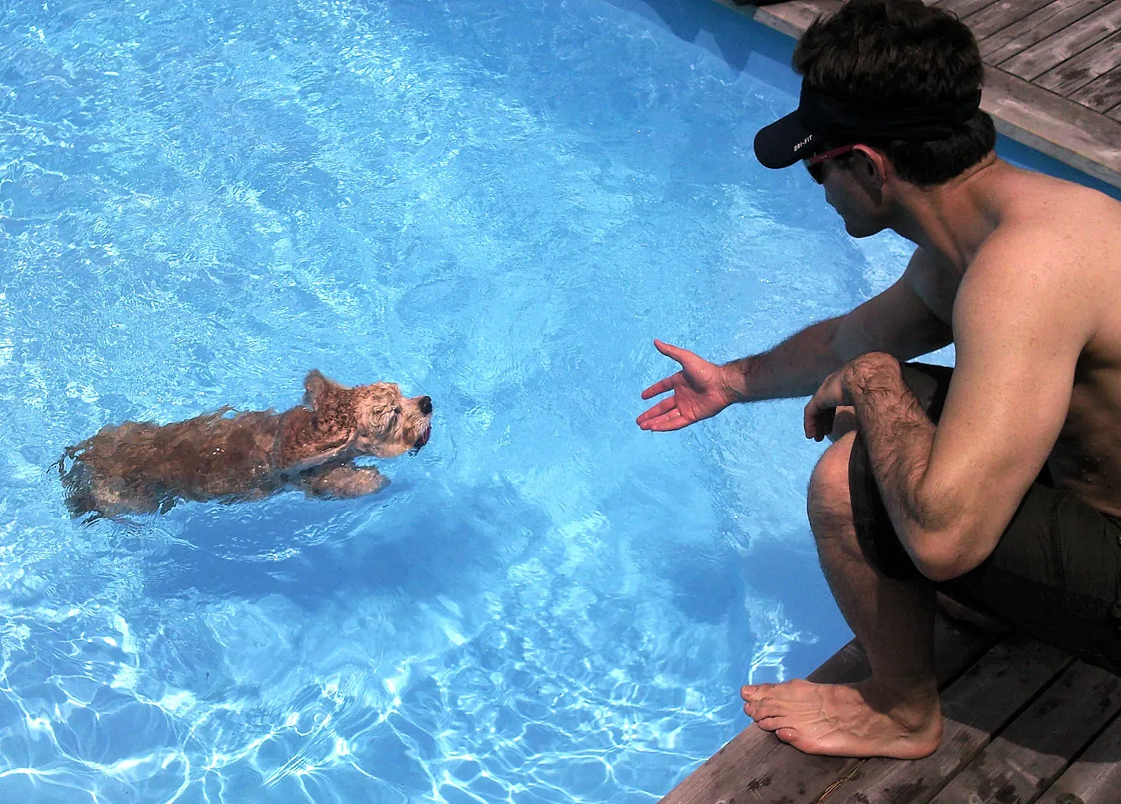 2. Ignoring Your Dog's Body Language (By David Shankbone, CC BY 3.0)