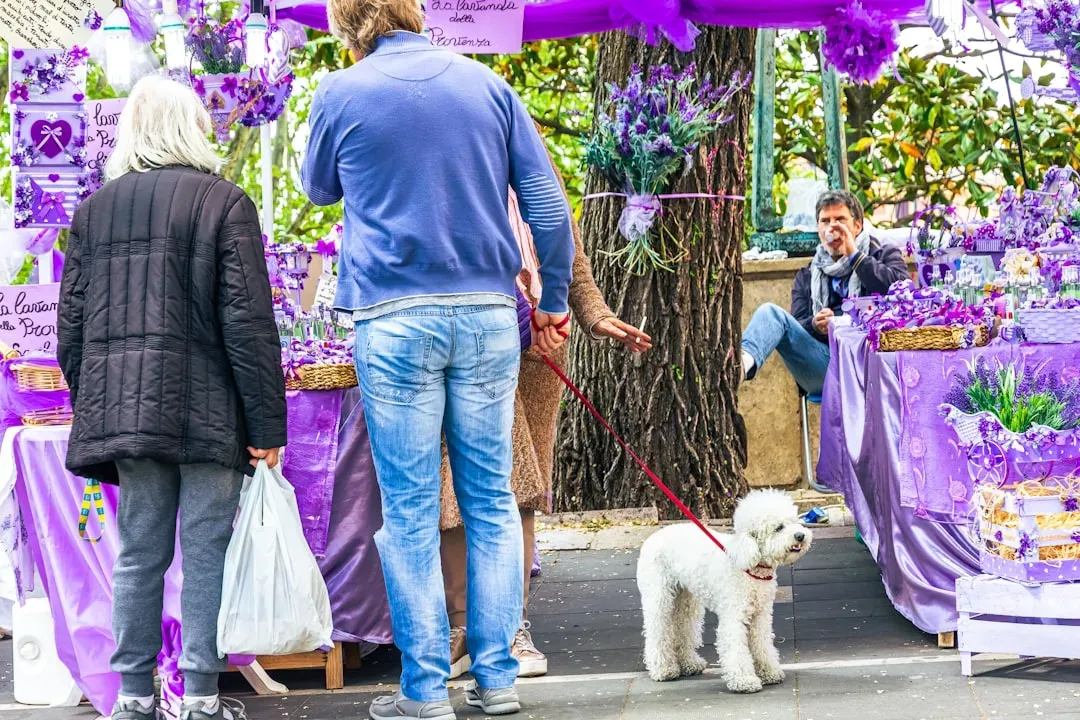 9. Exploring Dog-Friendly Markets, Beaches, and Outdoor Events (Image Credits: Unsplash)