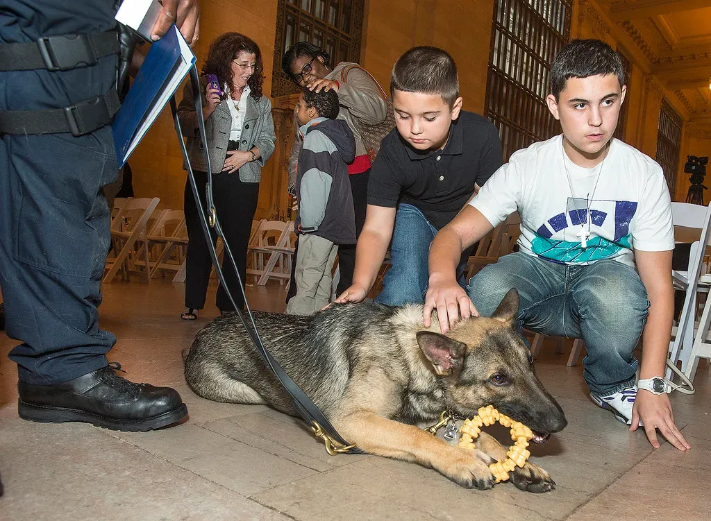 #15 - Talking to Their Dog Like It Understands Complex English (MTAPhotos, Flickr, CC BY 2.0)