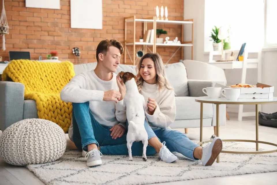 The Real Secret to Apartment Dog Success (Image Credits: Stocksnap)