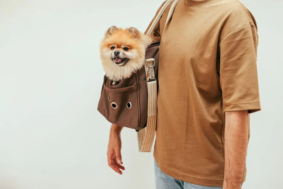 #5 - Stashing a "Dog Go-Bag" by the Door (Image Credits: Pexels)
