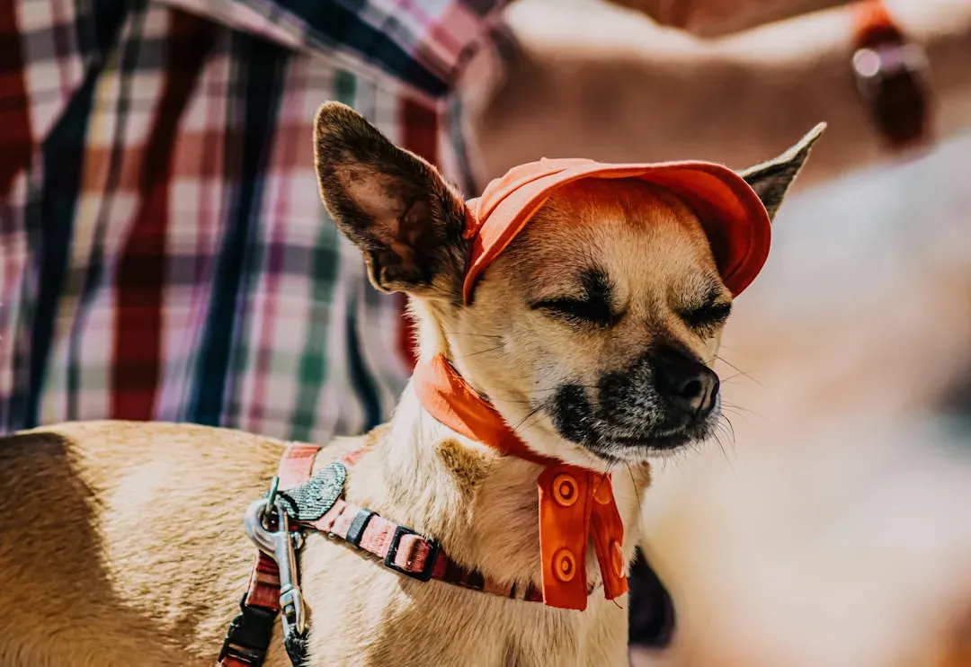 Positioning Themselves Between You and the Rest of the House (Image Credits: Unsplash)