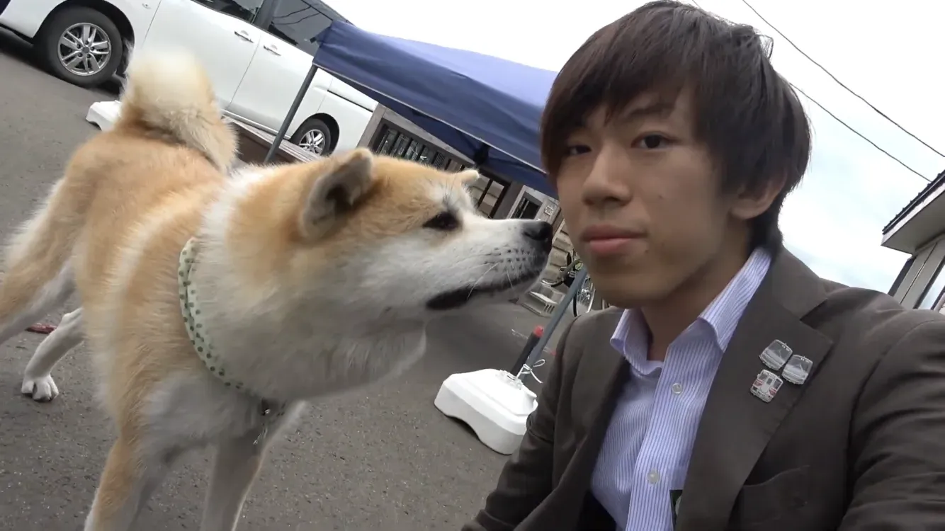 Akita: The Proud Guardian with an Independent Streak (Image Credits: Wikimedia)