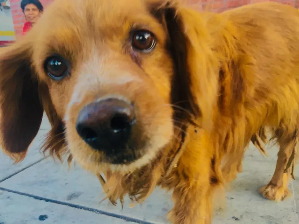 Your Inconsistency Is Driving Them Crazy (Image Credits: Flickr)