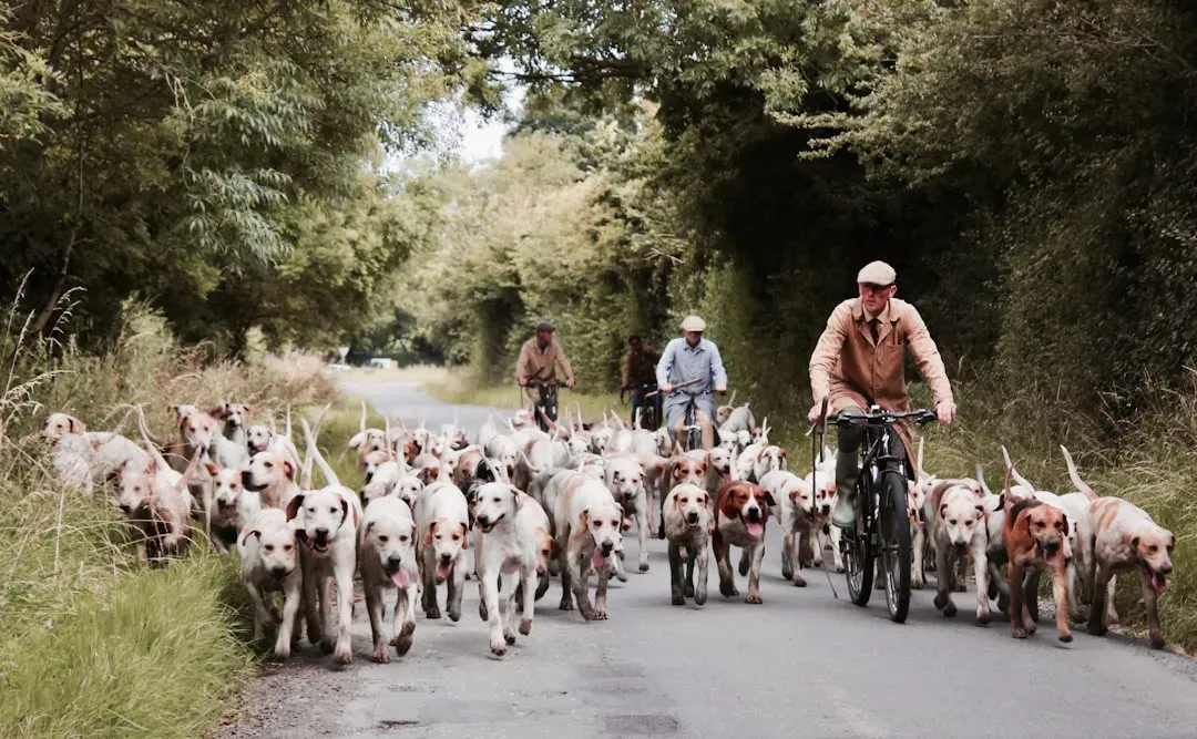 Social Inclusion in the Pack (Image Credits: Unsplash)