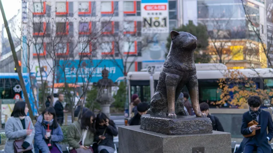 #1: Akita - Japan's Most Devoted Guardian (Image Credits: Unsplash)
