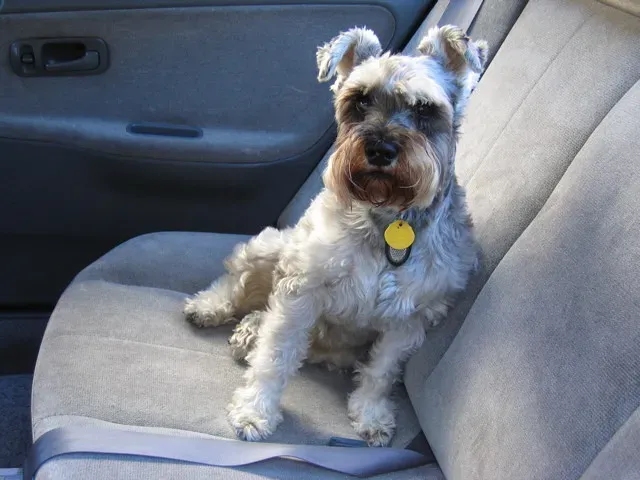 #7 - Car Rides Only Happen on the Original Route and Seat (Living in Monrovia, Flickr, CC BY-SA 2.0)