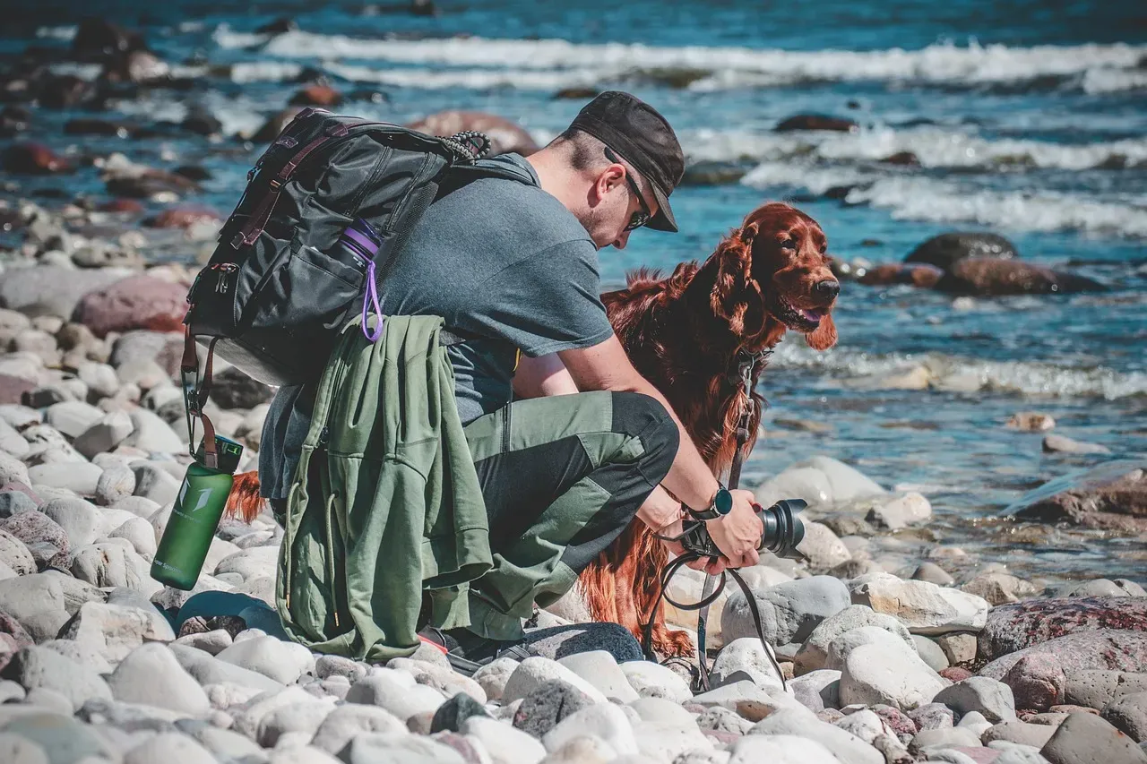 13. Irish Setter: The Spirited Athlete for Active Indiana Families (Image Credits: Pixabay)
