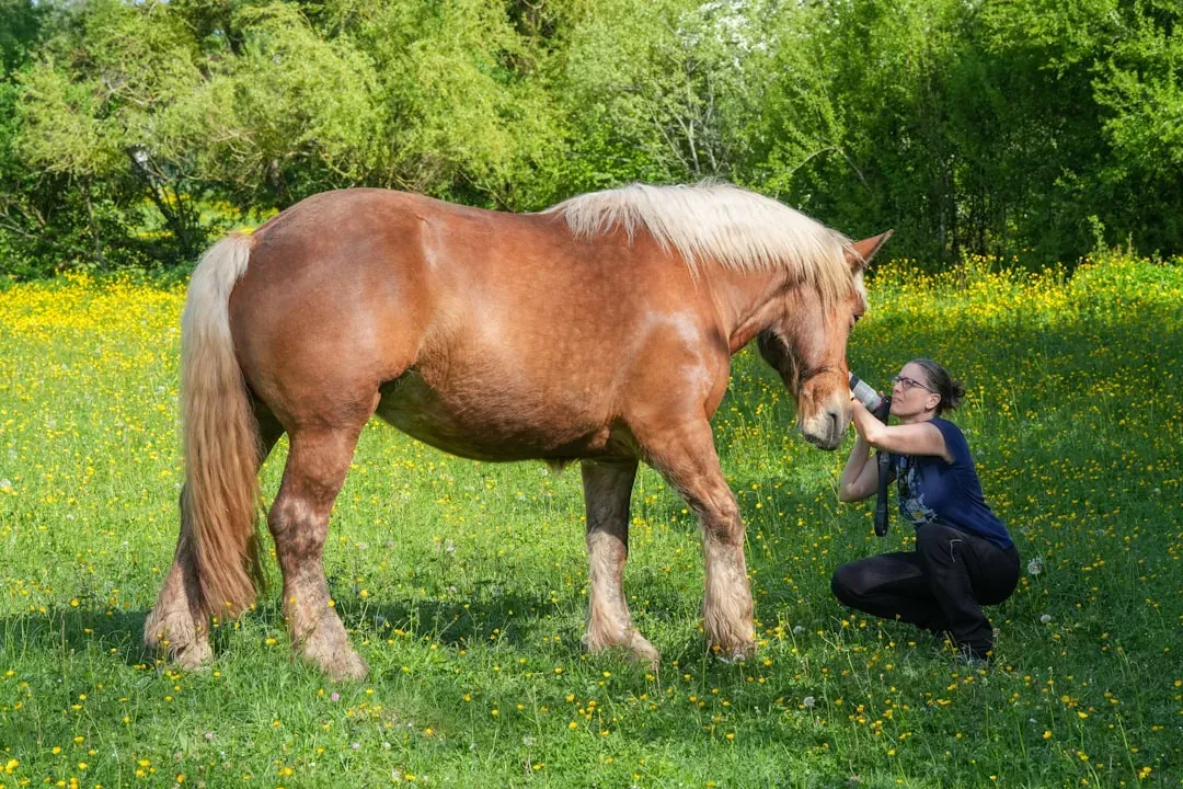 10. The Moment You Realize Your Horse Recognizes You from Across a Field (Image Credits: Unsplash)