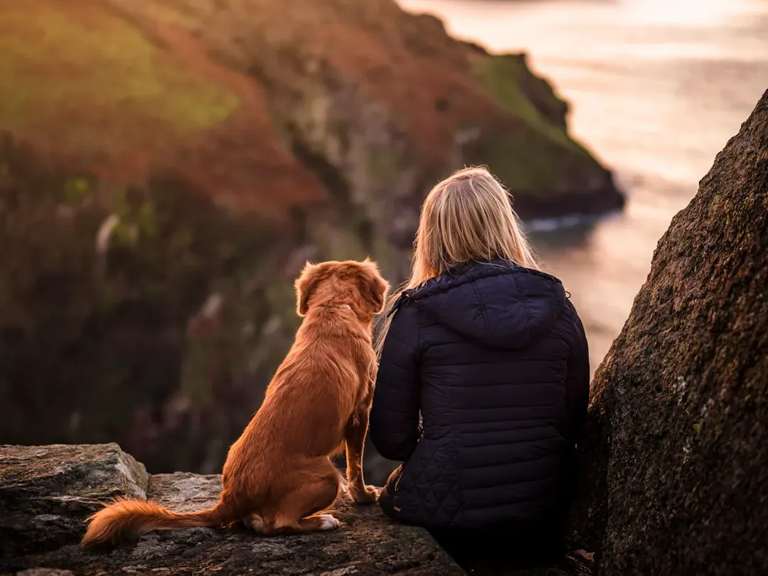 Supporting Your Dog Through the Process (Image Credits: Unsplash)