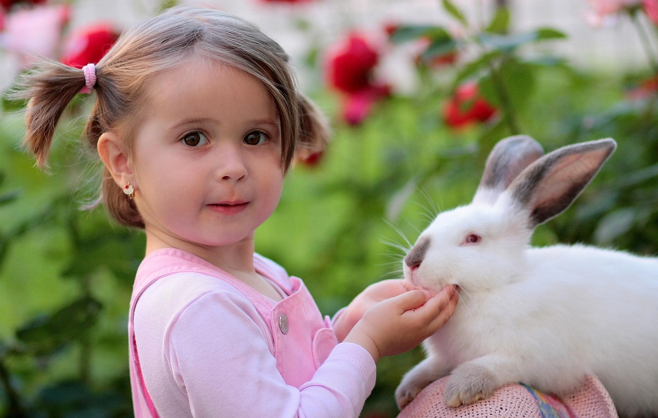 Rabbits: The Gentle Companions (Image Credits: Pixabay)