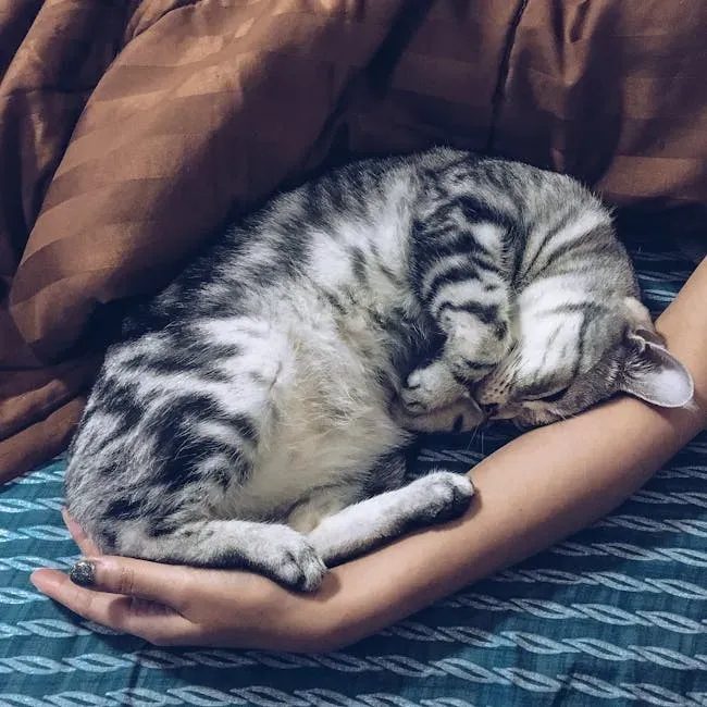 #2. Sleeping Out in the Open (Image Credits: Pexels)