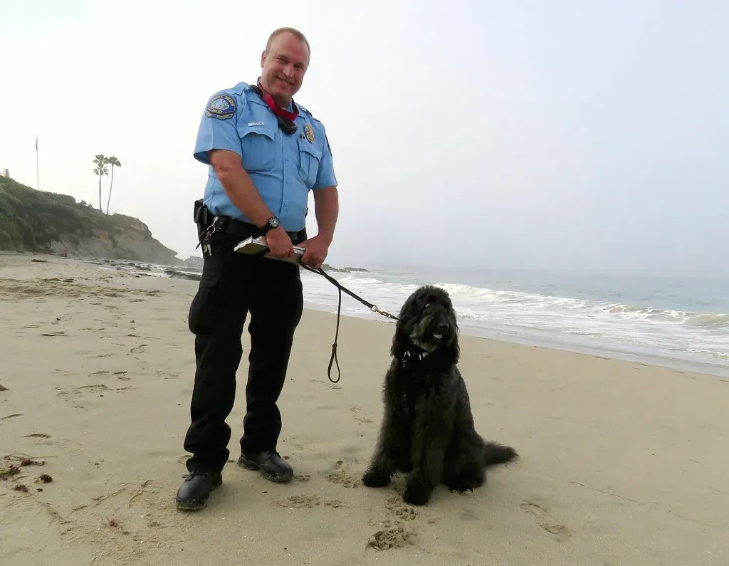 Never Turn Your Back or Allow the Dog to Get Behind You (Image Credits: Flickr)