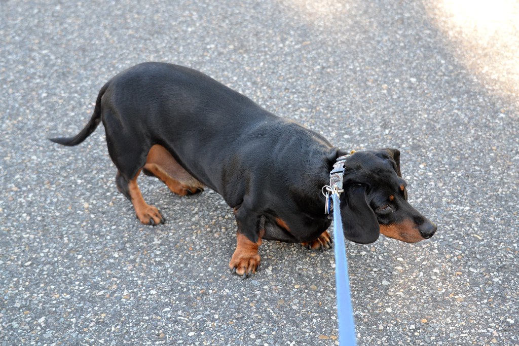 Conclusion (Image Credits: Flickr)