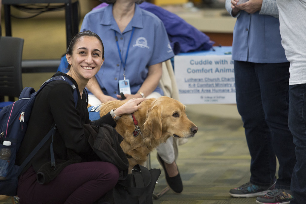 Cancer: The Intuitive Caregiver (Image Credits: Flickr)