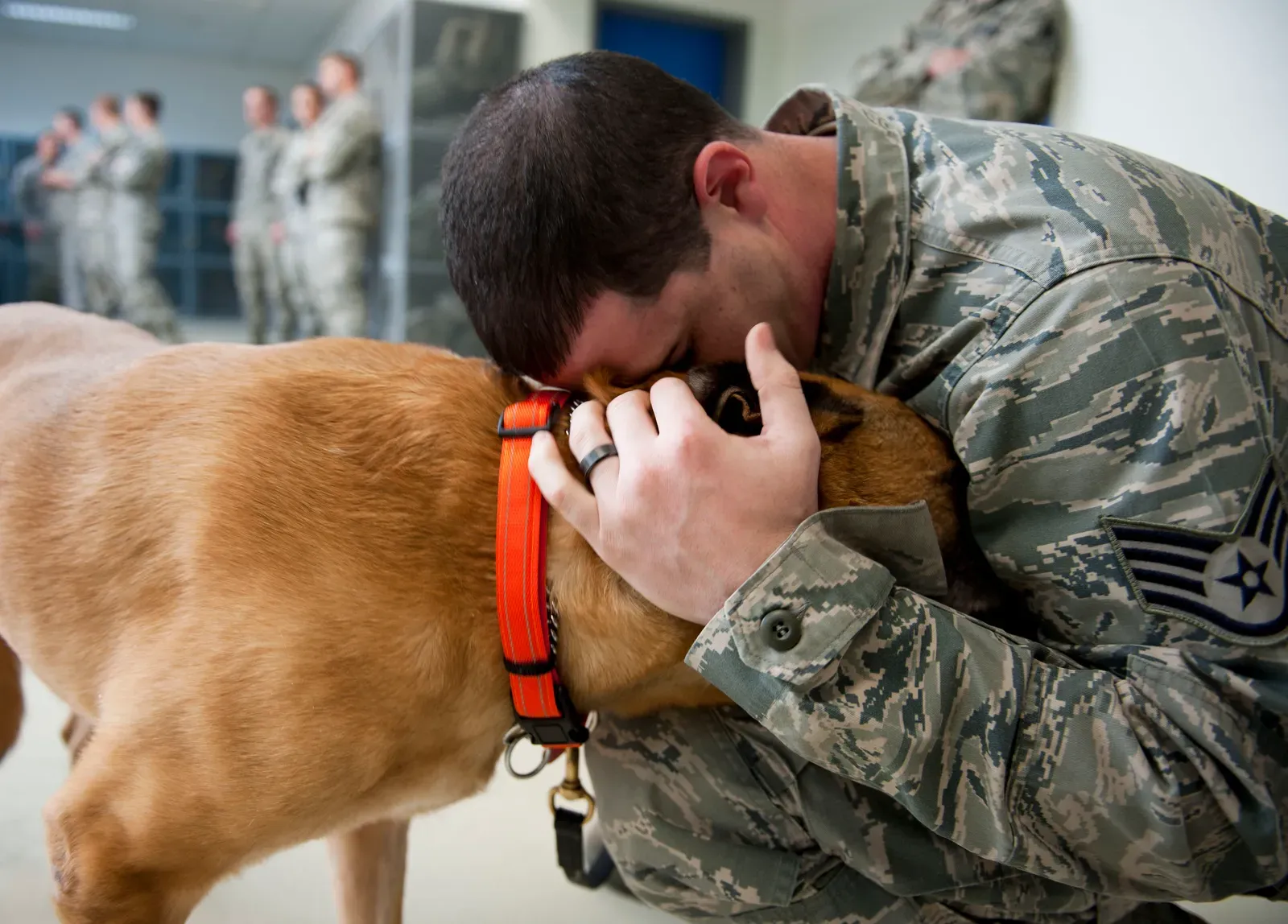 The Comforter Who Provides a Secure Base (Image Credits: Wikimedia)