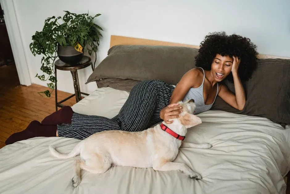 1. They Seek You Out First When They’re Scared or Unsure (Image Credits: Pexels)