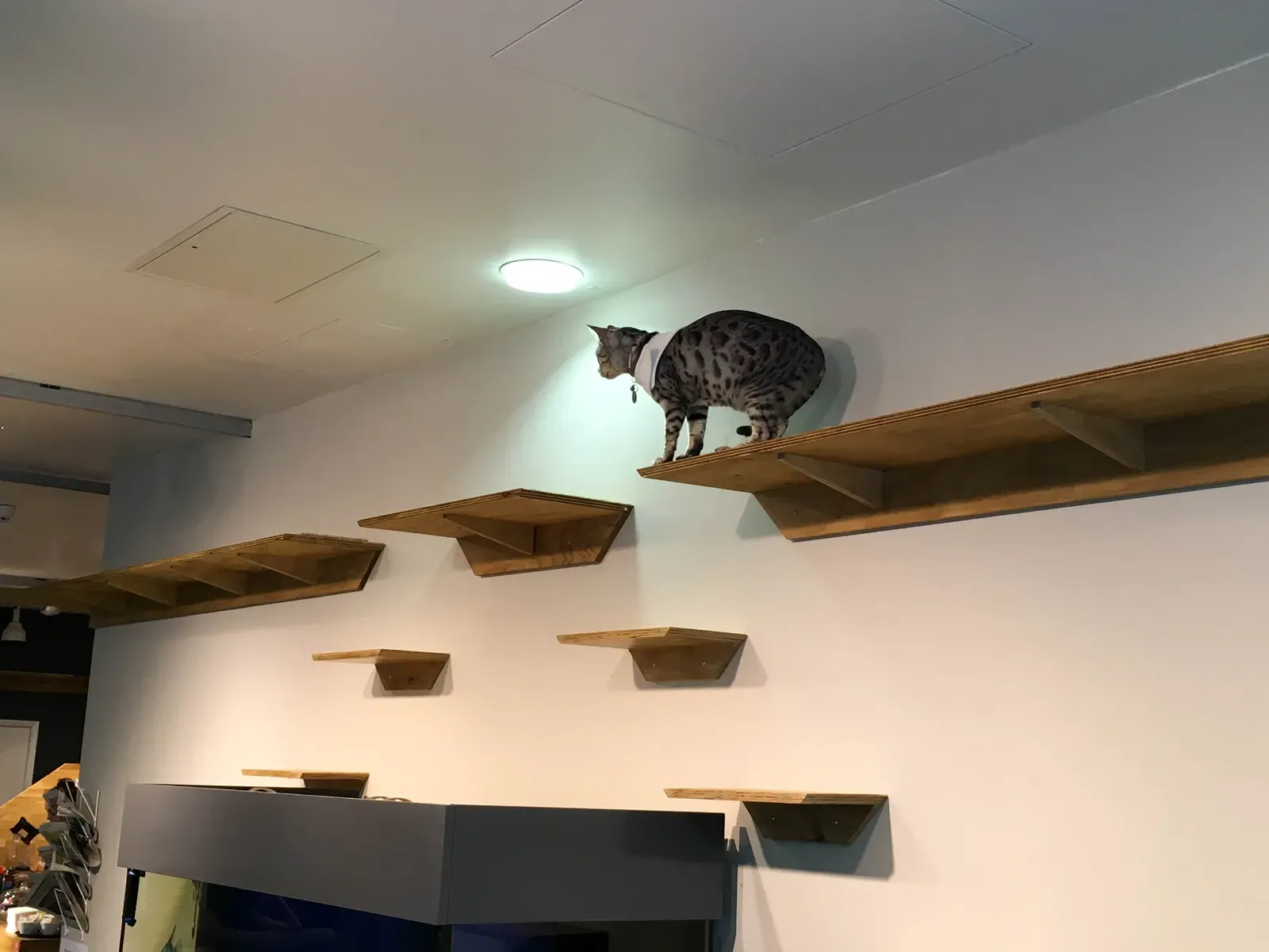 4. Furniture Parkour (By Photograph by Mike Peel (www.mikepeel.net)., CC BY-SA 4.0)
